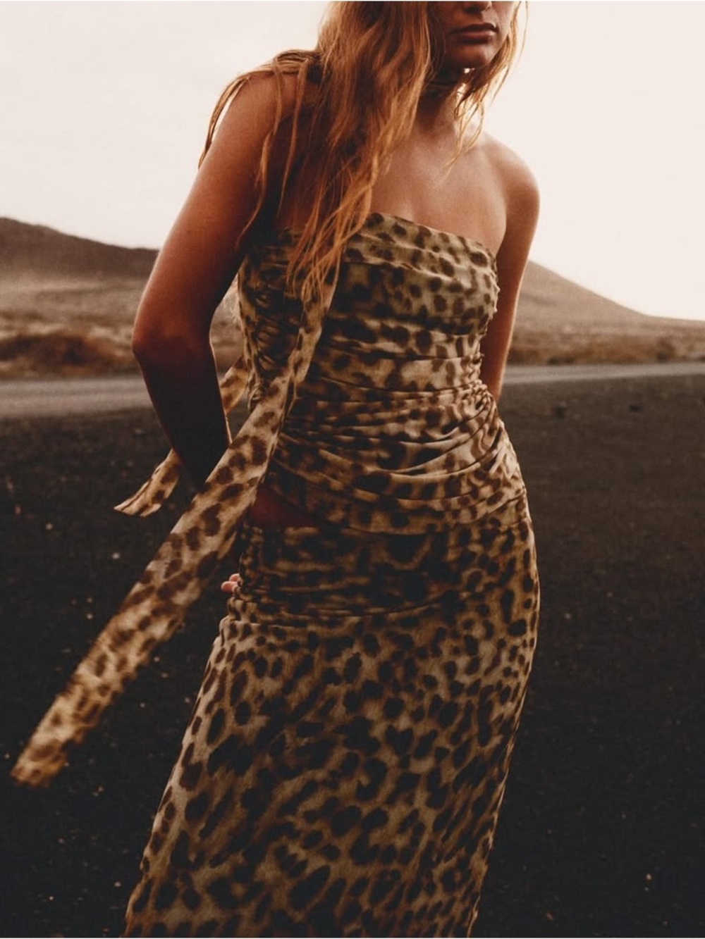 2 Piece Set! Zara Strapless Tube Top & Skirt. Leopard-Print in Brown/Tan